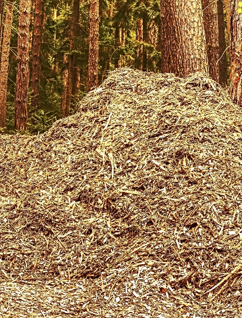 Biomass Production